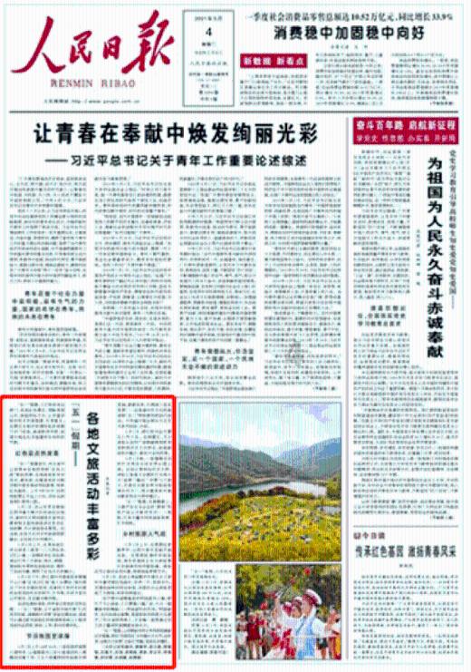 豆娃勇士2