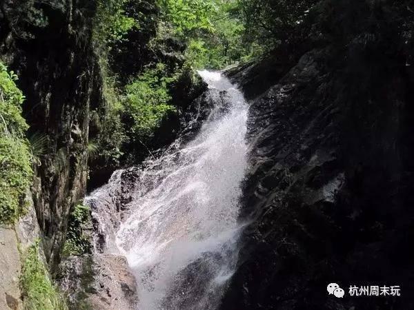 【两会·力量】张义苹代表:非遗传承人不是光环 更是一种责任