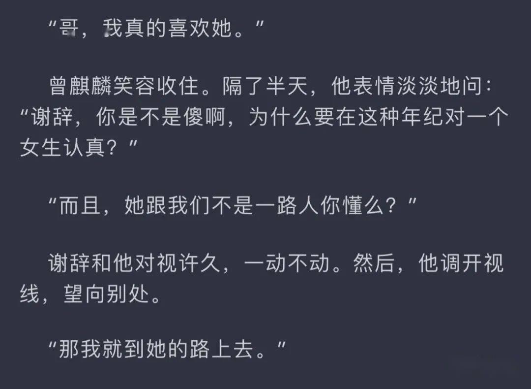 探探猫之飞天萌猫